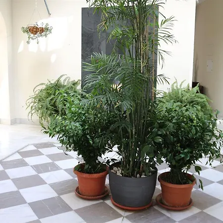 Apartment Palacio De Luja